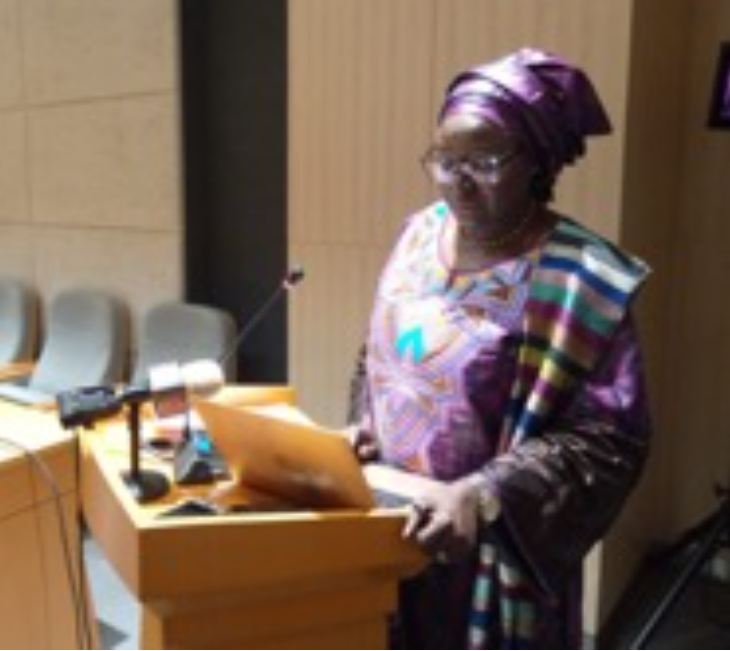 Rights activist Janet Sallah-Njie calls for new Constitution